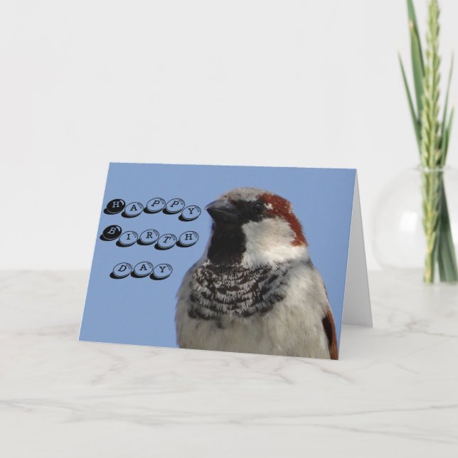 Pájaro lindo de la tarjeta de cumpleaños pequeño (Anverso)