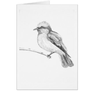 Pájaro lindo que coge cada uno atención