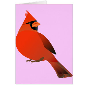 Pájaro masculino cardinal rojo