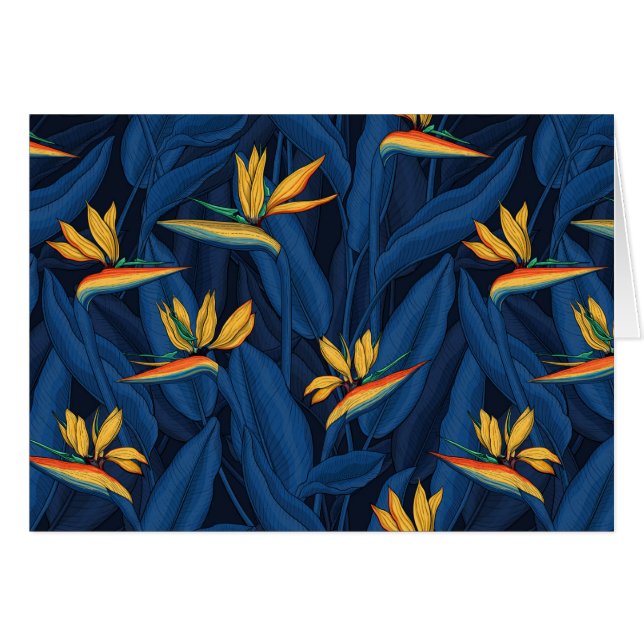 Pájaro nocturno del paraíso 2 (Anverso (Horizontal))