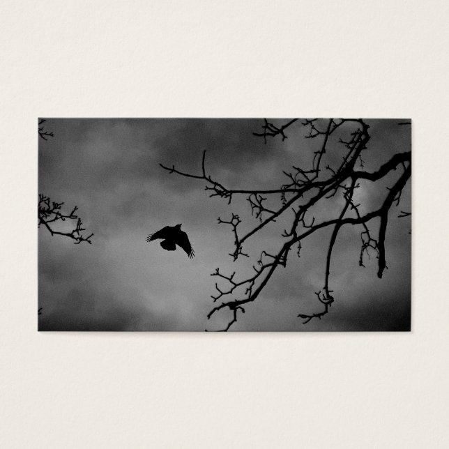 Pájaro oscuro en vuelo (Frente)