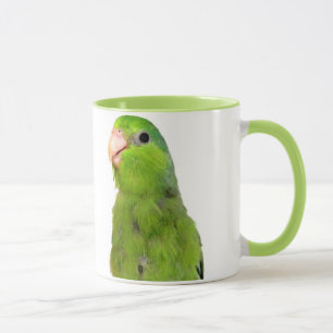 Pájaro pacífico verde de Parrotlet taza de la ta