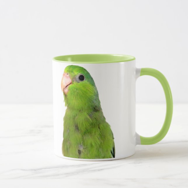 Pájaro pacífico verde de Parrotlet taza de la taza (Derecha)