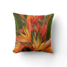 Pájaro tropical de almohada de paraíso