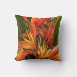 Pájaro tropical de almohada de paraíso