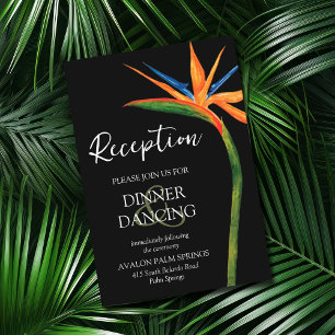 Pájaro tropical de las tarjetas de recepción de bo