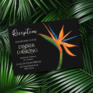 Pájaro tropical de las tarjetas de recepción de bo