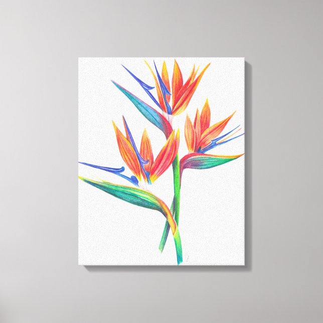 Pájaro Tropical De Paraíso Dibujando Arte Original (Anverso)