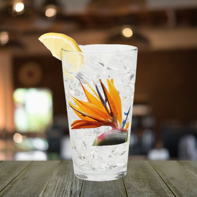 Pájaro tropical de Paraíso floral (In Situ)