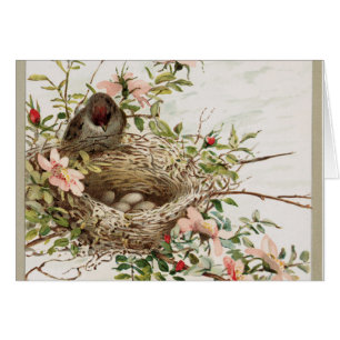 Pájaro vigilante del vintage