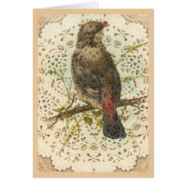 Pájaro y Doilie del vintage (Frente)