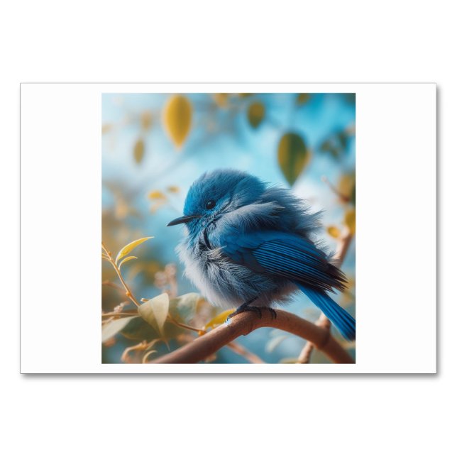 Pájaros (鸟 / niev) - Tarjetas Flash chinas (Anverso)