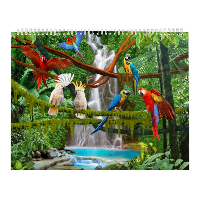 PÁJAROS #1 DEL CALENDARIO (Tapa)