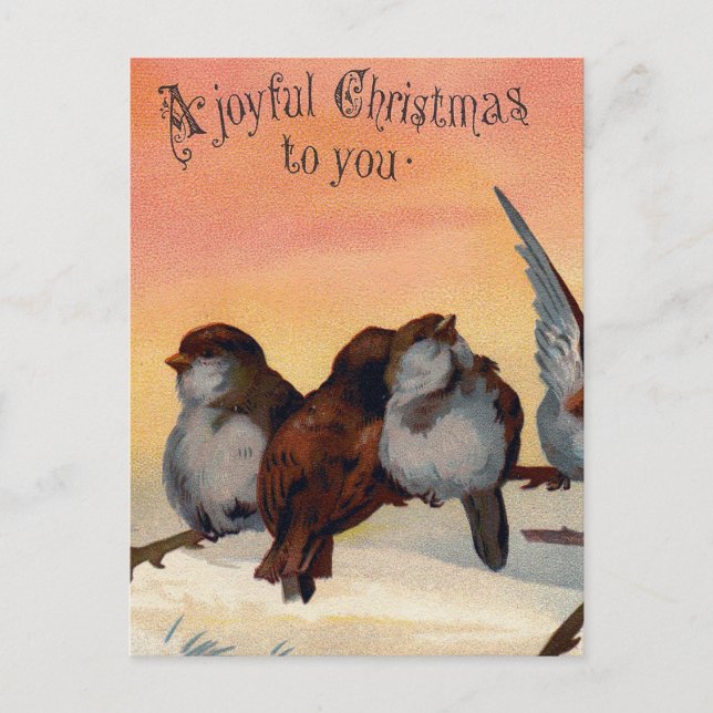 Pájaros alegres del navidad del vintage (Anverso)