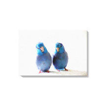 Pájaros azules Pareja de Parroquia Pacífico Lienzo