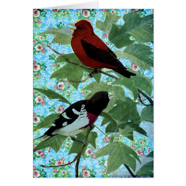 Pájaros bonitos del día (Frente)