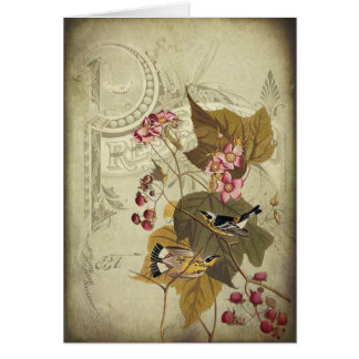 Pájaros cantantes y bayas