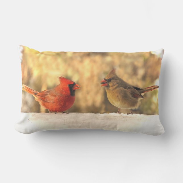 Pájaros cardinales en la almohada al aire libre (Anverso)
