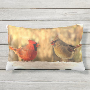 Pájaros cardinales en la almohada al aire libre