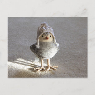 Pájaros con tarjeta postal Gorra