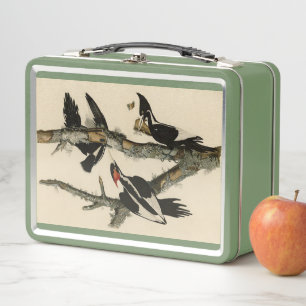 Pájaros de América del pájaro carpintero audubon