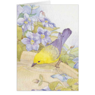 pájaros de la acuarela