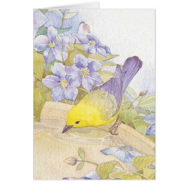 pájaros de la acuarela (Frente)