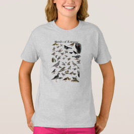 Pájaros de la camisa de Europa