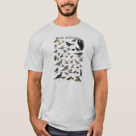 Pájaros de la camisa de Europa