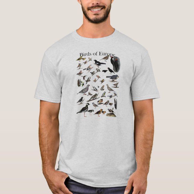 Pájaros de la camisa de Europa (Anverso)