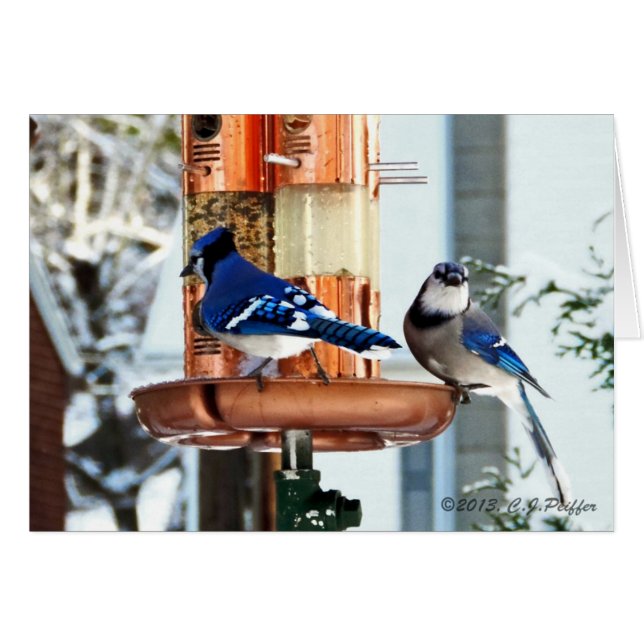 "Pájaros de la nieve 2" (Anverso (Horizontal))
