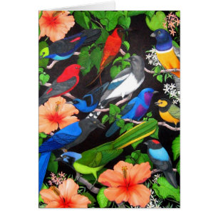 Pájaros de la península del Yucatán