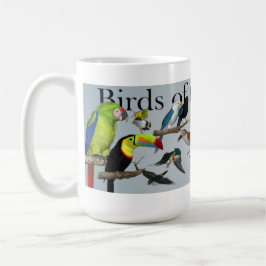 Pájaros de la taza de Yucatán