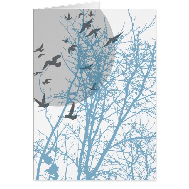 pájaros de silucida (Frente)