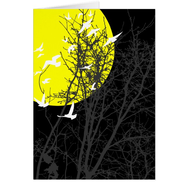 pájaros de silucida (Frente)