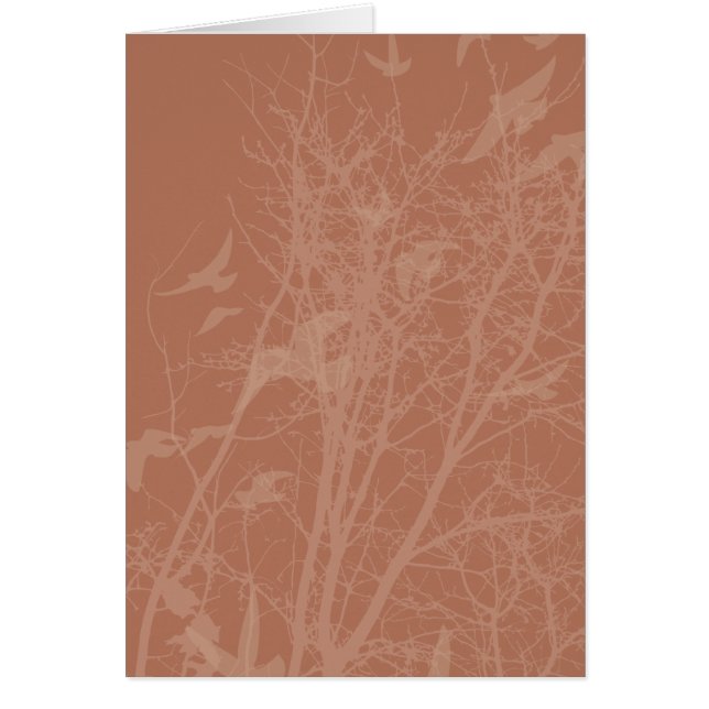 pájaros de silucida (Frente)