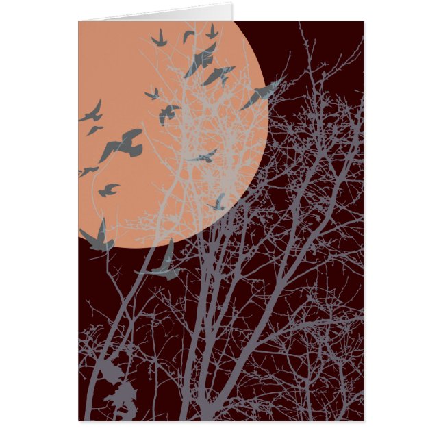 pájaros de silucida (Frente)