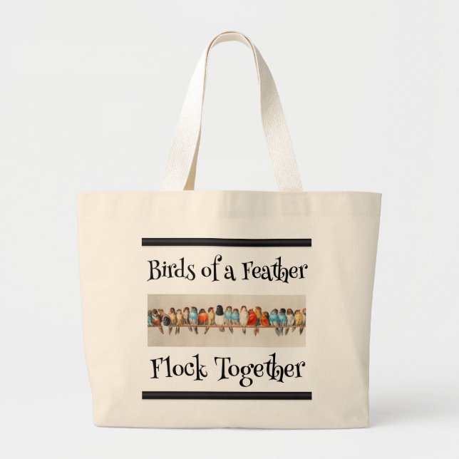 Pájaros de una bolsa de plumas (Frente)