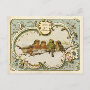 Pájaros de una postal de reproducción de pluma
