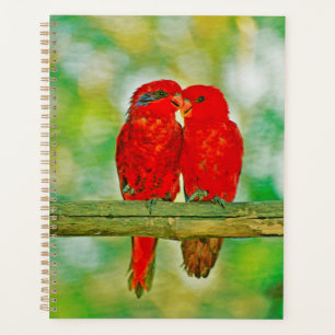 Pájaros del amor planificadores