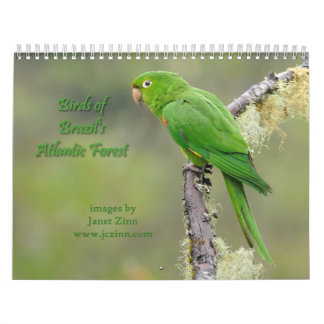 Pájaros del calendario atlántico del bosque del