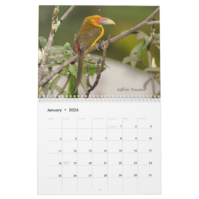 Pájaros del calendario atlántico del bosque del (Jan 2026)