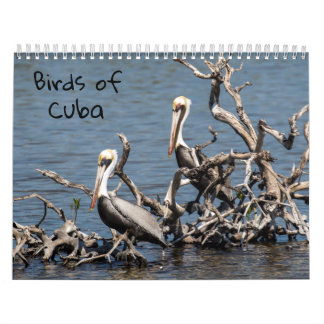 Pájaros del calendario de Cuba