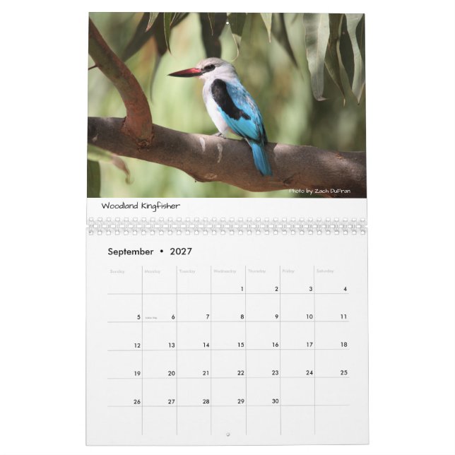 Pájaros del calendario de Etiopía (Sep 2027)