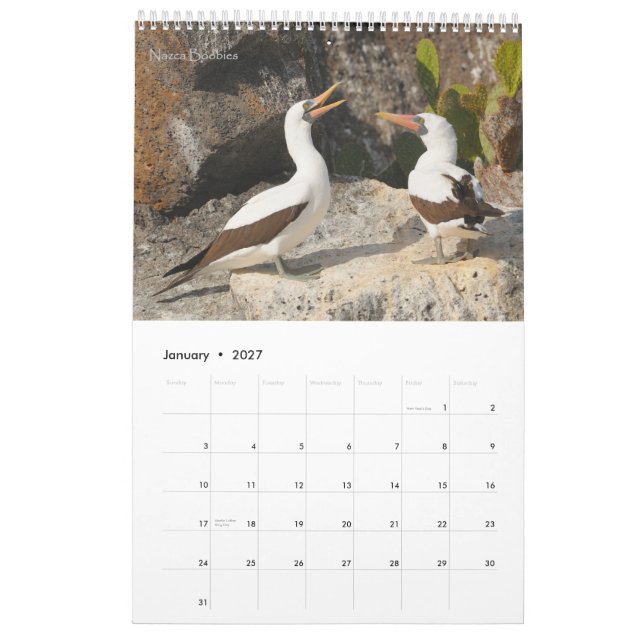 Pájaros del calendario de las Islas Galápagos (Jan 2027)