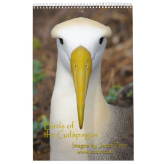 Pájaros del calendario de las Islas Galápagos