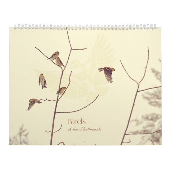 Pájaros del calendario de Northwoods (Tapa)