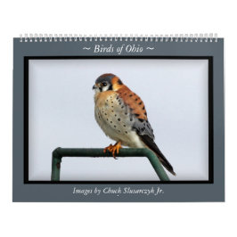 Pájaros del calendario de pared de Ohio