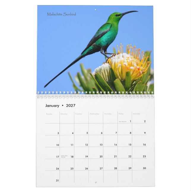 Pájaros del calendario de Suráfrica (Jan 2027)