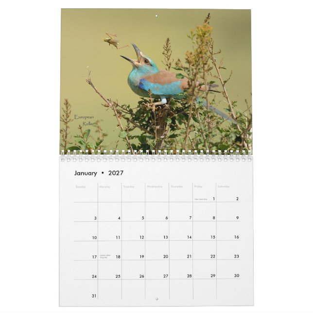 Pájaros del calendario de Tanzania (Jan 2027)